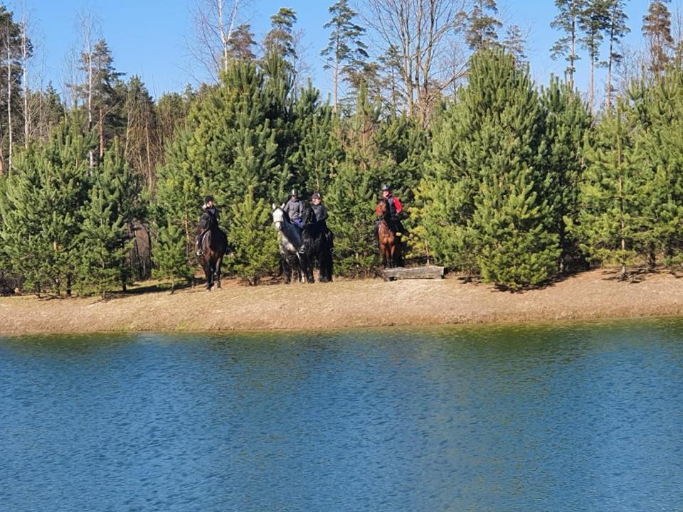 Viesu Maja Forrest Villa Dzimtmisa Eksteriør billede