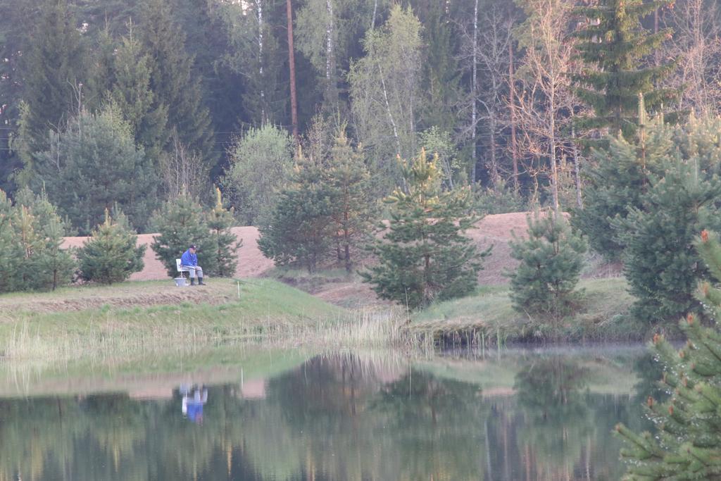Viesu Maja Forrest Villa Dzimtmisa Eksteriør billede