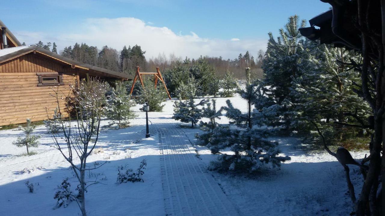 Viesu Maja Forrest Villa Dzimtmisa Eksteriør billede